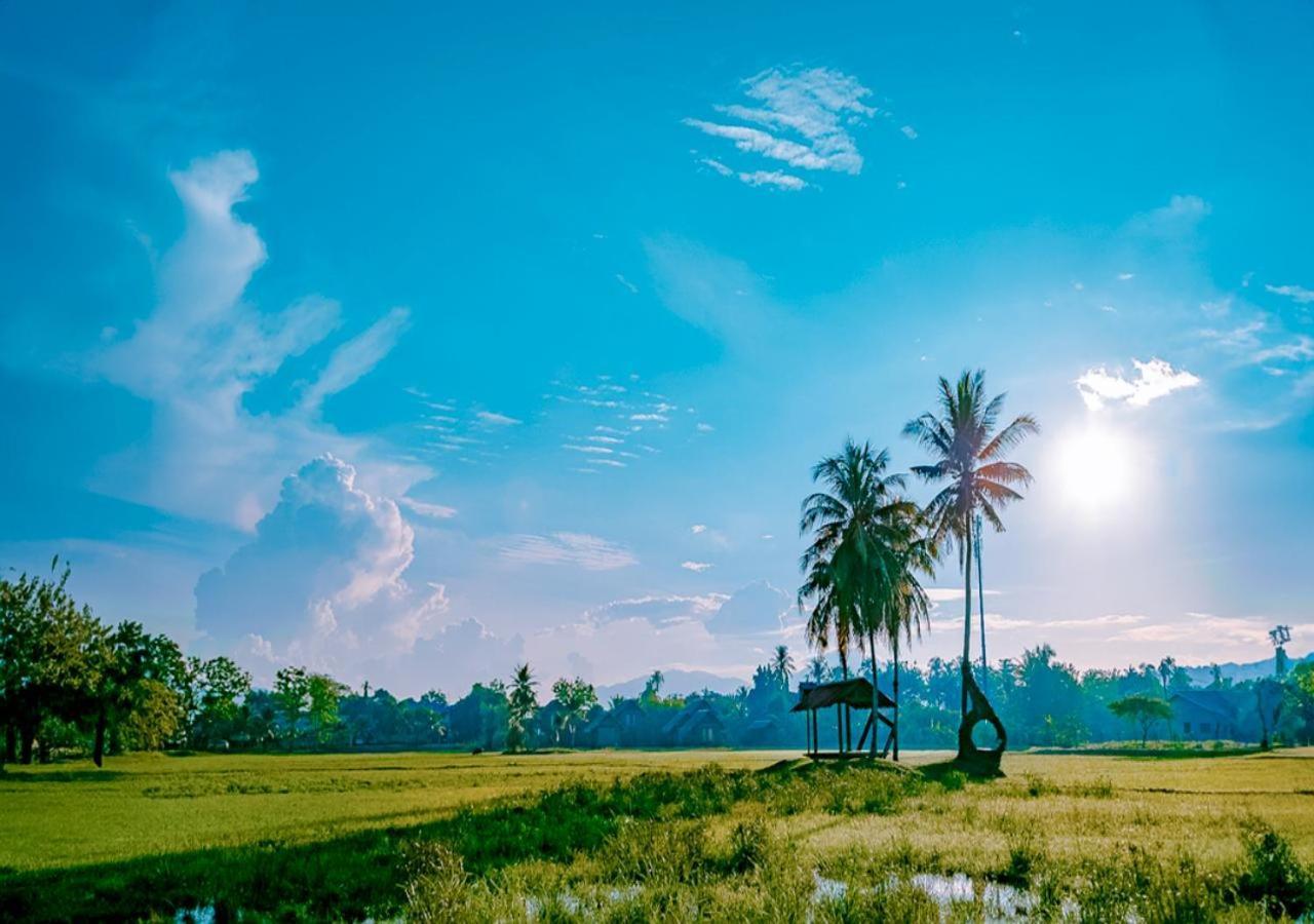 Pelangi Beach Resort & Spa, Langkawi לנגקאווי מראה חיצוני תמונה A view of the paddy fields in the village