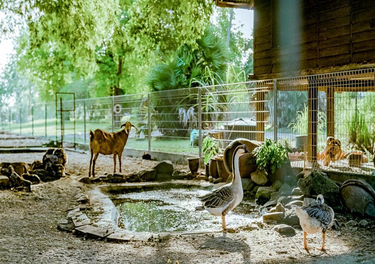 Pelangi Beach Resort & Spa, Langkawi לנגקאווי מראה חיצוני תמונה The goat barn at the Old Zoo